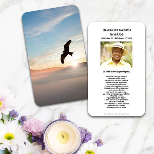 Show details for Sunrise Dove Spanish Prayer Card